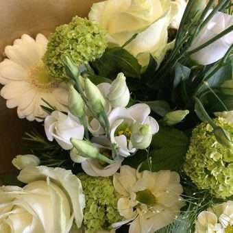Elegant ivory flowers