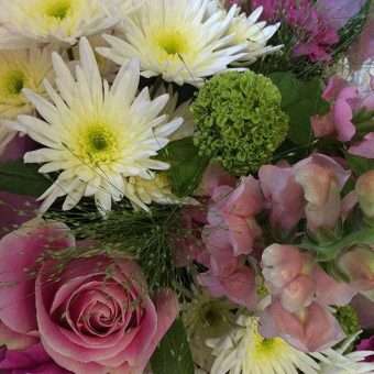 Pretty pastels flowers