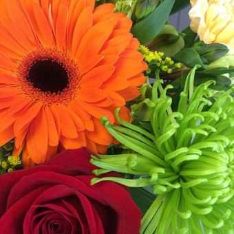 Seasonal flowers