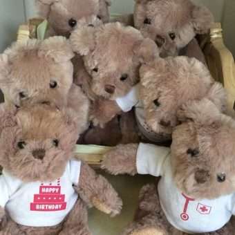 Teddy